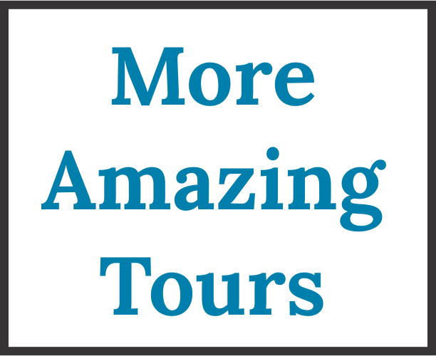 Amazing Tours